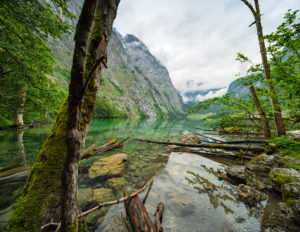Unberührte Natur am Ufer des Obersees, Baumstämme im Wasser, tief hängende Wolken, Nationalpark Berchtesgaden, Bayern, Deutschland Unberührte Natur am Ufer des Obersees, Baumstämme im Wasser, tief hängende Wolken, Nationalpark Berchtesgaden, Bayern, Deutschland